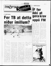 Síða 15