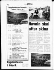 Síða 20