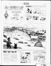Síða 21