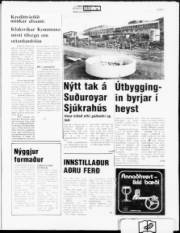 Síða 5