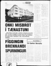 Síða 6