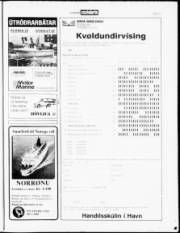 Síða 17