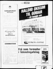 Síða 19
