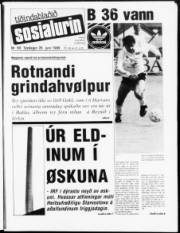 Síða 1