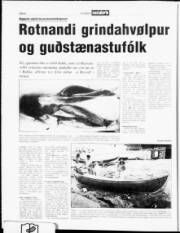 Síða 6