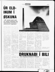 Síða 7