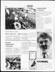 Síða 8