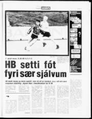 Síða 15
