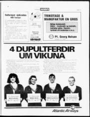 Síða 17