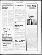 Síða 23