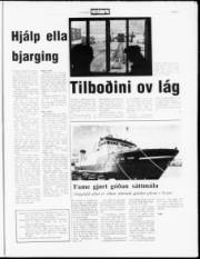 Síða 5