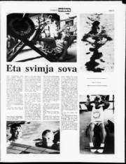 Síða 11