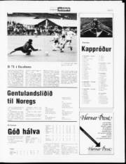 Síða 13