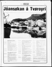 Síða 17