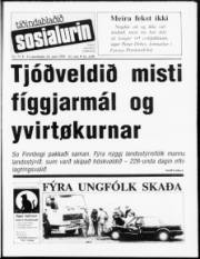 Síða 1