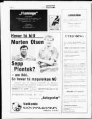 Síða 12