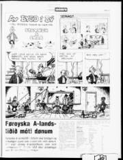 Síða 13