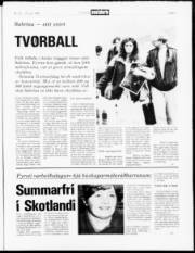 Síða 3