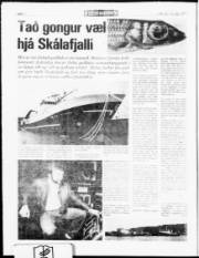 Síða 4