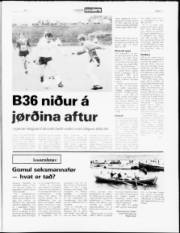 Síða 11