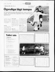 Síða 13