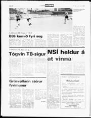 Síða 14