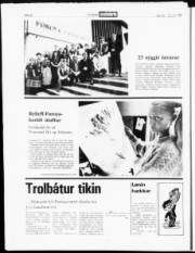 Síða 22