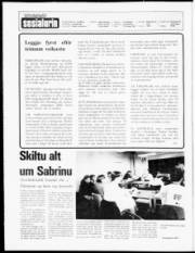 Síða 2