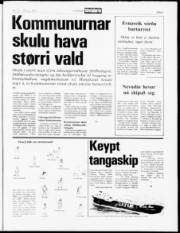 Síða 5