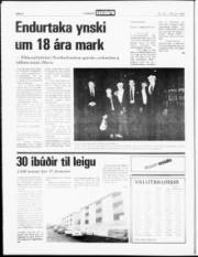 Síða 6