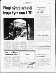 Síða 7