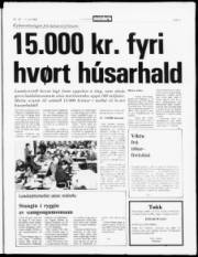 Síða 3