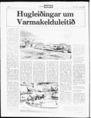 Síða 6