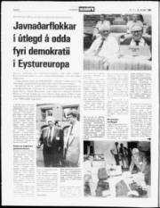 Síða 6