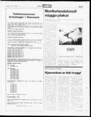 Síða 19