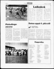 Síða 12