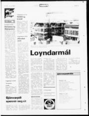 Síða 19