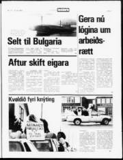 Síða 3