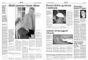 Síða 5