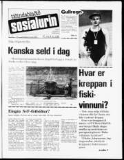 Síða 1
