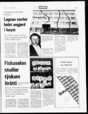 Síða 3