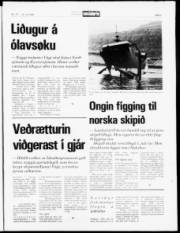 Síða 5