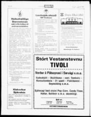 Síða 17