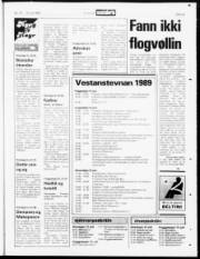 Síða 22
