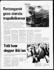 Síða 3