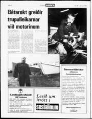 Síða 4