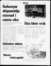 Síða 5