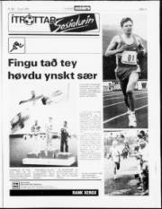 Síða 13