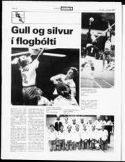 Síða 16