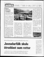 Síða 2